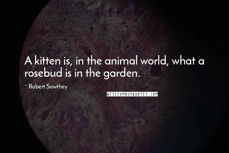 Robert Sowthey Quotes: A kitten is, in the animal world, what a rosebud is in the garden.