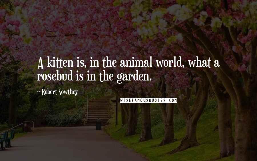 Robert Sowthey Quotes: A kitten is, in the animal world, what a rosebud is in the garden.