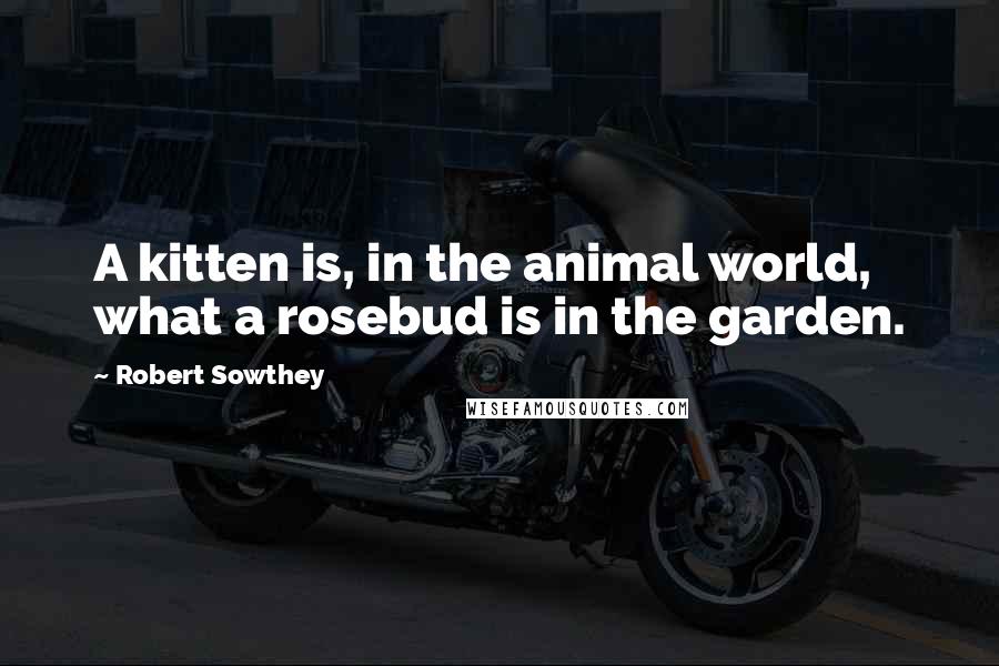 Robert Sowthey Quotes: A kitten is, in the animal world, what a rosebud is in the garden.