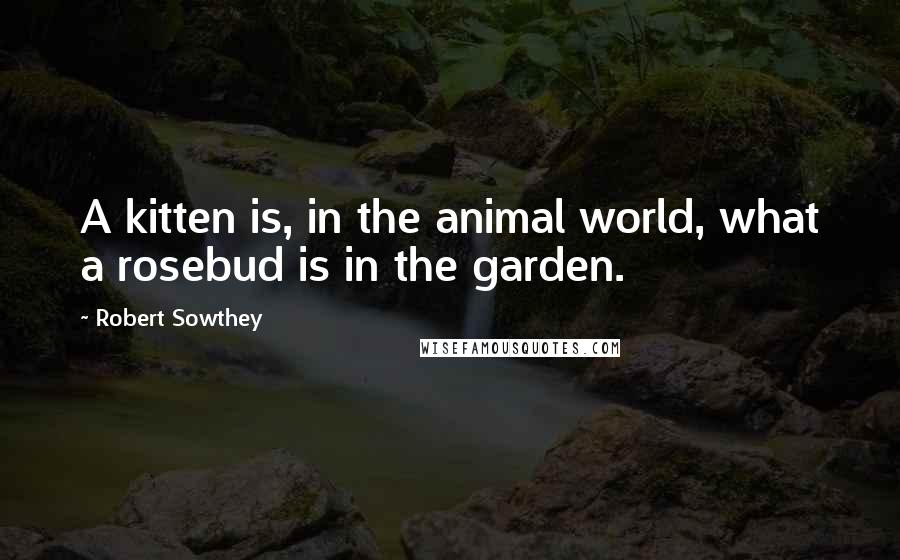 Robert Sowthey Quotes: A kitten is, in the animal world, what a rosebud is in the garden.