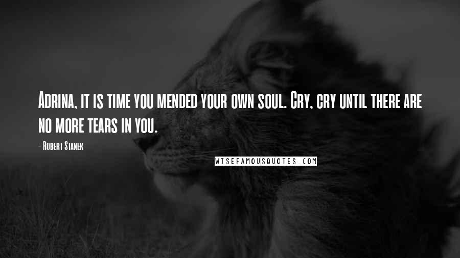 Robert Stanek Quotes: Adrina, it is time you mended your own soul. Cry, cry until there are no more tears in you.