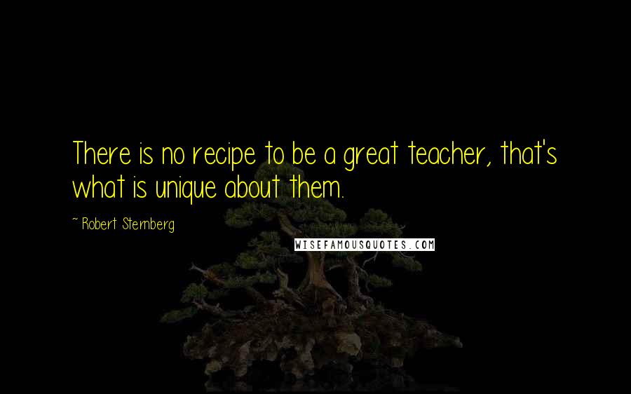 Robert Sternberg Quotes: There is no recipe to be a great teacher, that's what is unique about them.