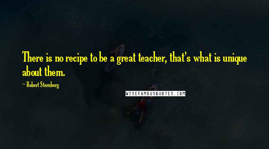 Robert Sternberg Quotes: There is no recipe to be a great teacher, that's what is unique about them.