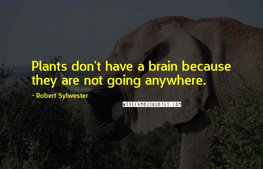 Robert Sylwester Quotes: Plants don't have a brain because they are not going anywhere.