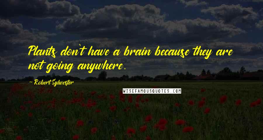 Robert Sylwester Quotes: Plants don't have a brain because they are not going anywhere.