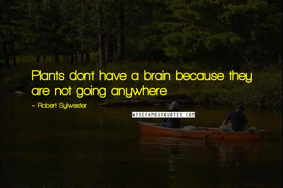 Robert Sylwester Quotes: Plants don't have a brain because they are not going anywhere.