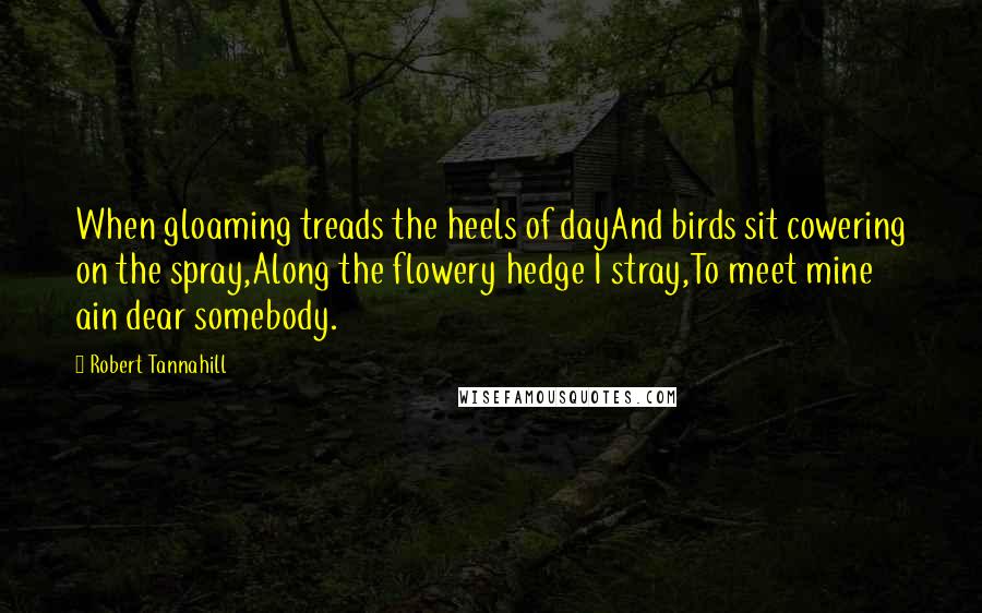 Robert Tannahill Quotes: When gloaming treads the heels of dayAnd birds sit cowering on the spray,Along the flowery hedge I stray,To meet mine ain dear somebody.