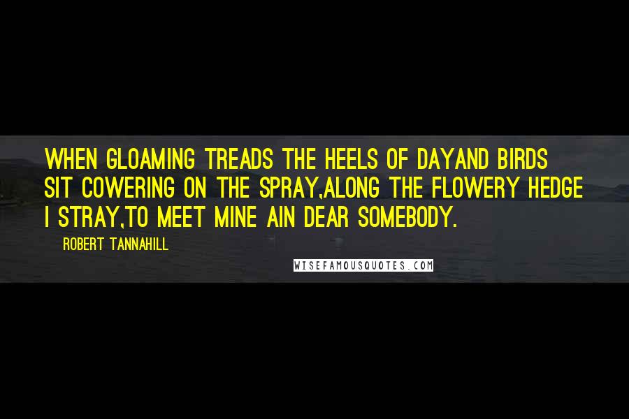 Robert Tannahill Quotes: When gloaming treads the heels of dayAnd birds sit cowering on the spray,Along the flowery hedge I stray,To meet mine ain dear somebody.