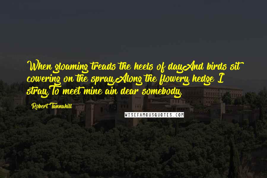 Robert Tannahill Quotes: When gloaming treads the heels of dayAnd birds sit cowering on the spray,Along the flowery hedge I stray,To meet mine ain dear somebody.