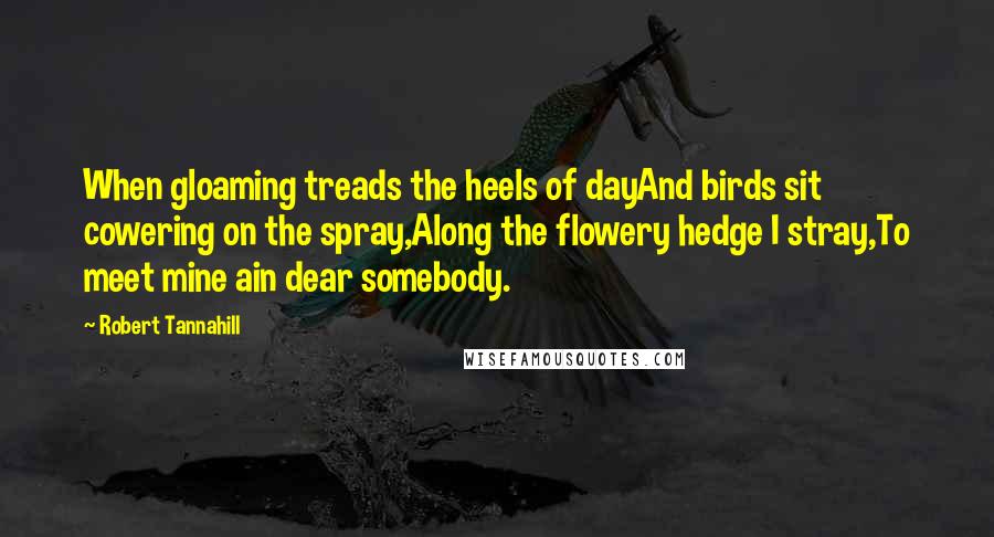 Robert Tannahill Quotes: When gloaming treads the heels of dayAnd birds sit cowering on the spray,Along the flowery hedge I stray,To meet mine ain dear somebody.