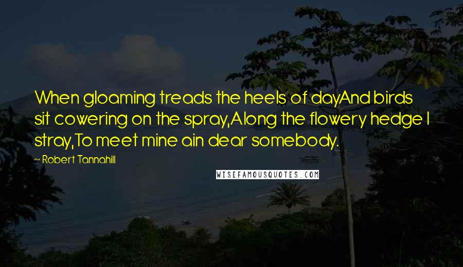 Robert Tannahill Quotes: When gloaming treads the heels of dayAnd birds sit cowering on the spray,Along the flowery hedge I stray,To meet mine ain dear somebody.