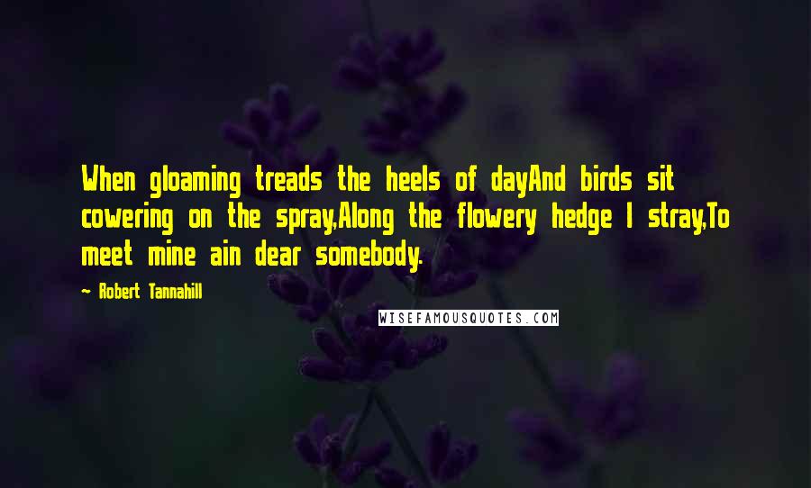 Robert Tannahill Quotes: When gloaming treads the heels of dayAnd birds sit cowering on the spray,Along the flowery hedge I stray,To meet mine ain dear somebody.