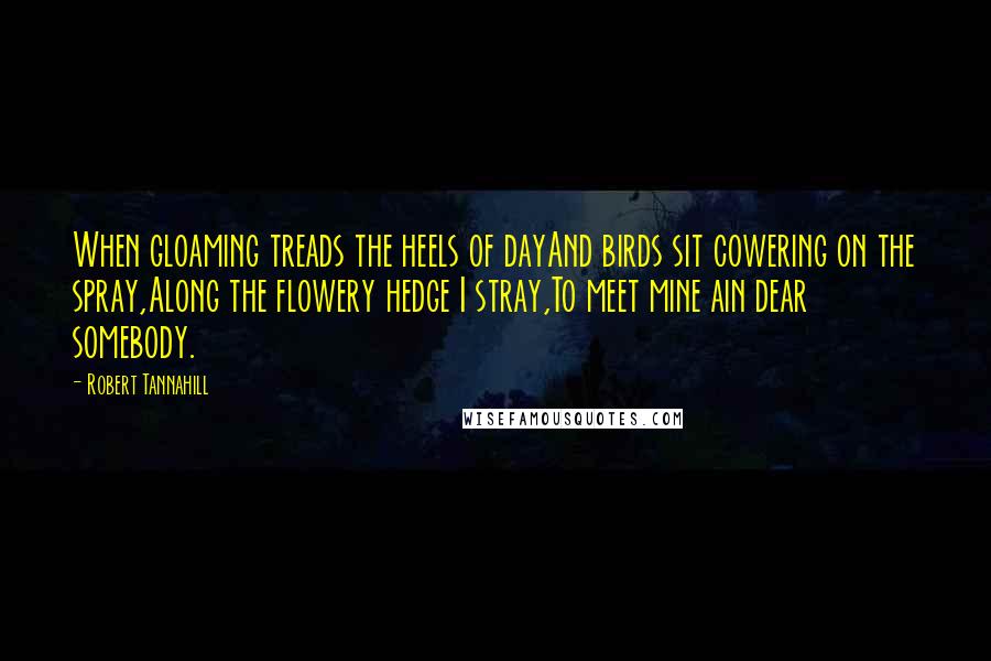 Robert Tannahill Quotes: When gloaming treads the heels of dayAnd birds sit cowering on the spray,Along the flowery hedge I stray,To meet mine ain dear somebody.