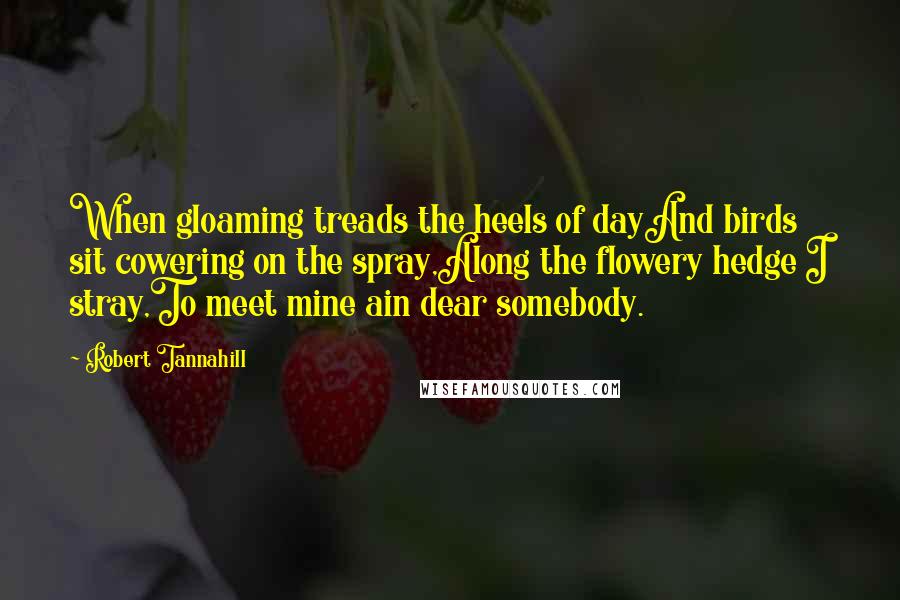 Robert Tannahill Quotes: When gloaming treads the heels of dayAnd birds sit cowering on the spray,Along the flowery hedge I stray,To meet mine ain dear somebody.