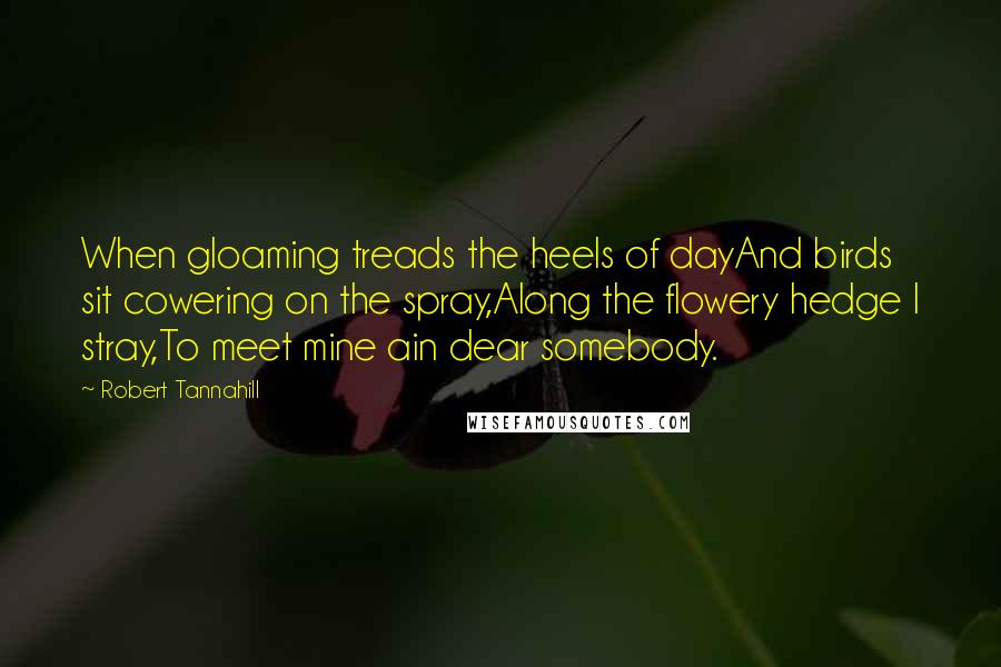 Robert Tannahill Quotes: When gloaming treads the heels of dayAnd birds sit cowering on the spray,Along the flowery hedge I stray,To meet mine ain dear somebody.