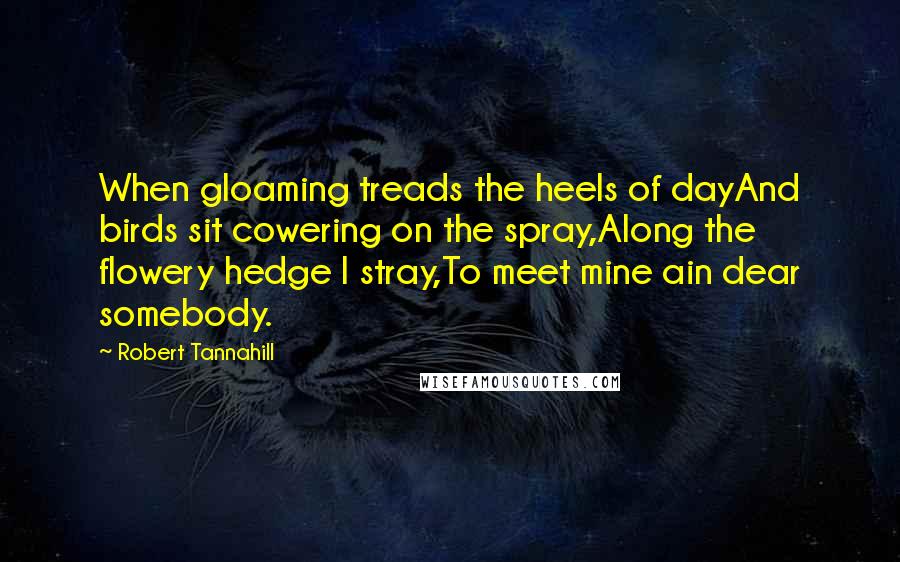 Robert Tannahill Quotes: When gloaming treads the heels of dayAnd birds sit cowering on the spray,Along the flowery hedge I stray,To meet mine ain dear somebody.