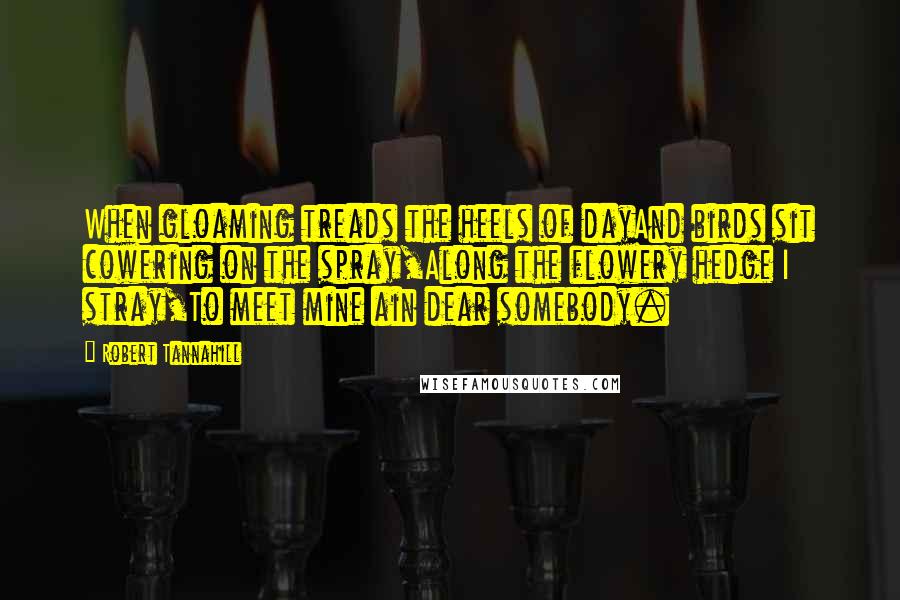 Robert Tannahill Quotes: When gloaming treads the heels of dayAnd birds sit cowering on the spray,Along the flowery hedge I stray,To meet mine ain dear somebody.