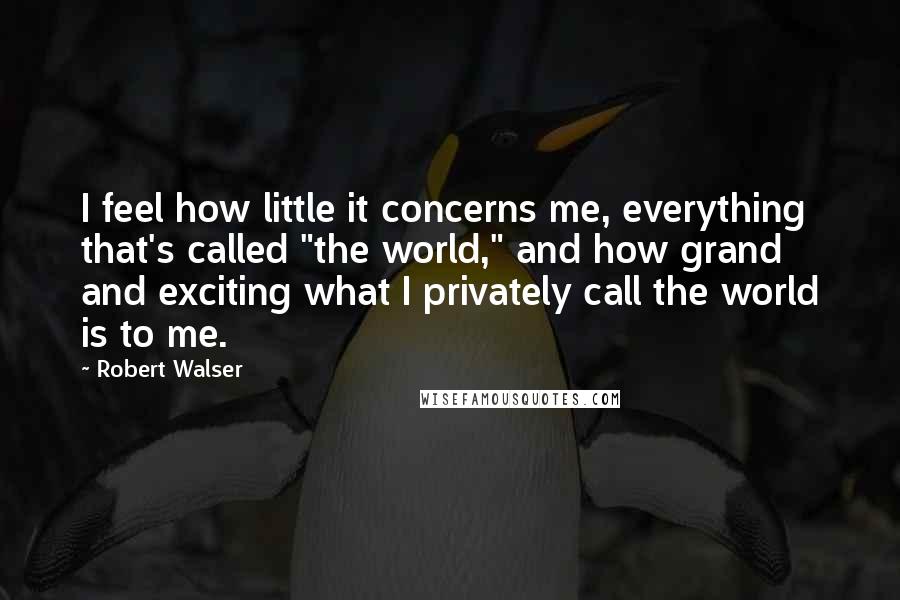Robert Walser Quotes: I feel how little it concerns me, everything that's called "the world," and how grand and exciting what I privately call the world is to me.