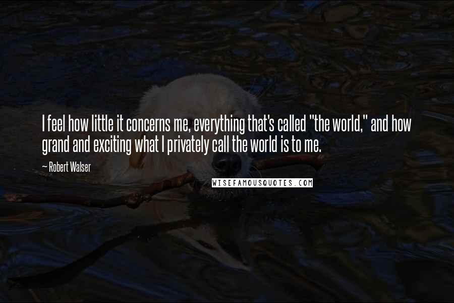 Robert Walser Quotes: I feel how little it concerns me, everything that's called "the world," and how grand and exciting what I privately call the world is to me.