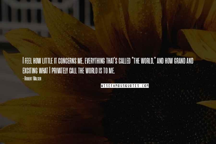 Robert Walser Quotes: I feel how little it concerns me, everything that's called "the world," and how grand and exciting what I privately call the world is to me.