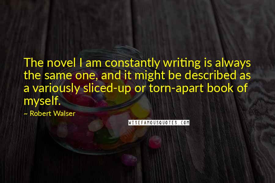 Robert Walser Quotes: The novel I am constantly writing is always the same one, and it might be described as a variously sliced-up or torn-apart book of myself.