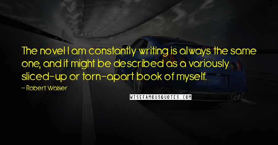 Robert Walser Quotes: The novel I am constantly writing is always the same one, and it might be described as a variously sliced-up or torn-apart book of myself.