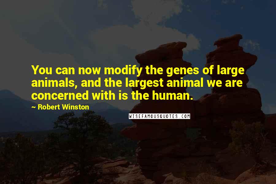 Robert Winston Quotes: You can now modify the genes of large animals, and the largest animal we are concerned with is the human.