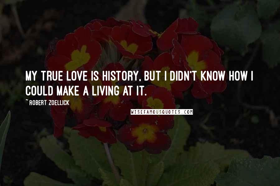 Robert Zoellick Quotes: My true love is history, but I didn't know how I could make a living at it.