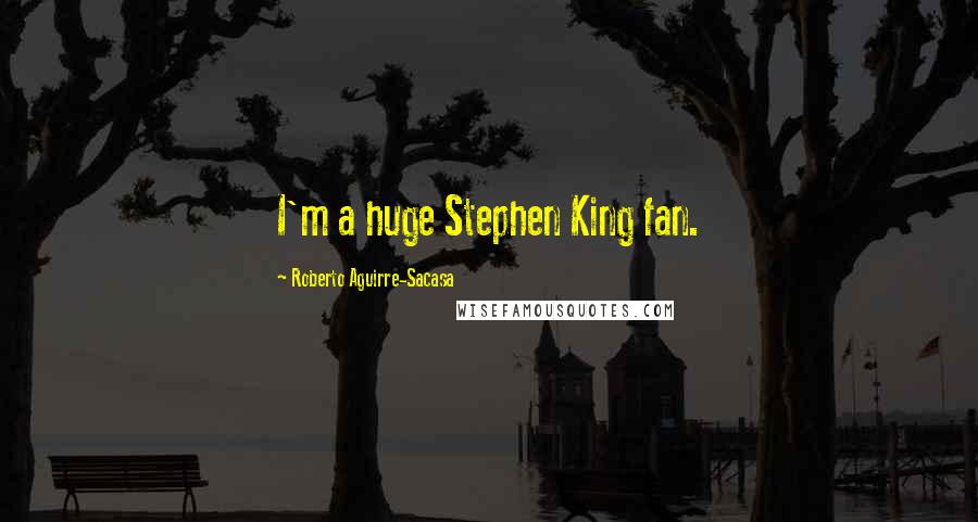 Roberto Aguirre-Sacasa Quotes: I'm a huge Stephen King fan.