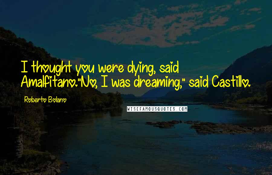 Roberto Bolano Quotes: I thought you were dying, said Amalfitano."No, I was dreaming," said Castillo.