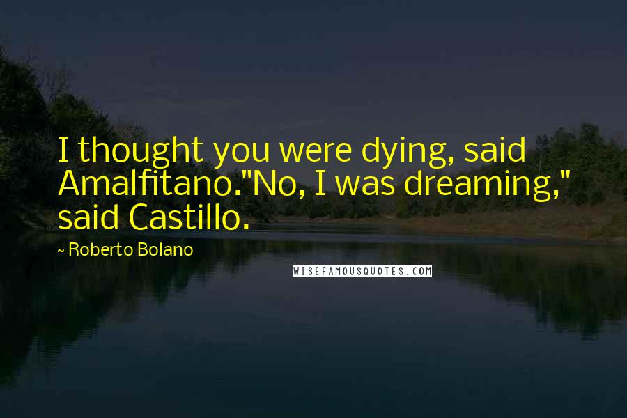 Roberto Bolano Quotes: I thought you were dying, said Amalfitano."No, I was dreaming," said Castillo.