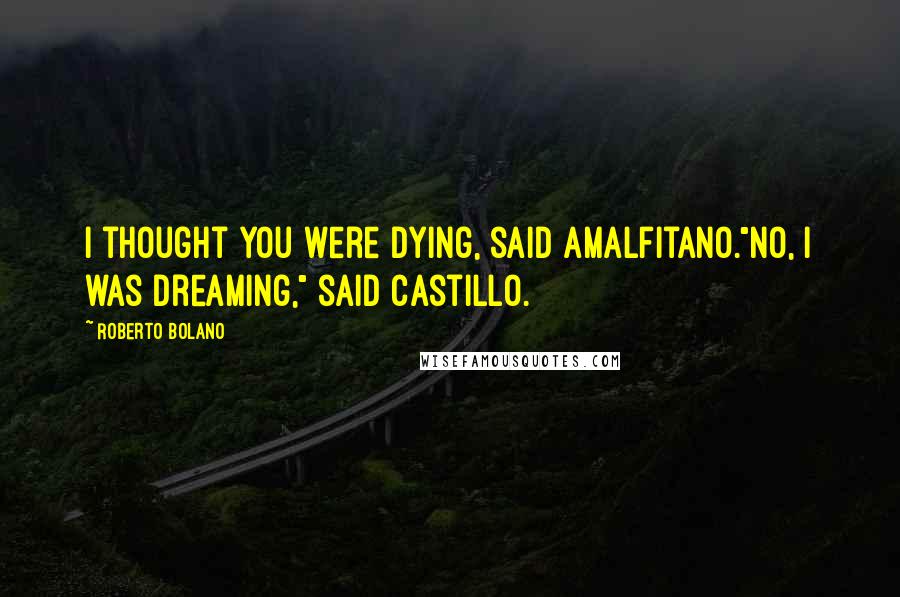 Roberto Bolano Quotes: I thought you were dying, said Amalfitano."No, I was dreaming," said Castillo.