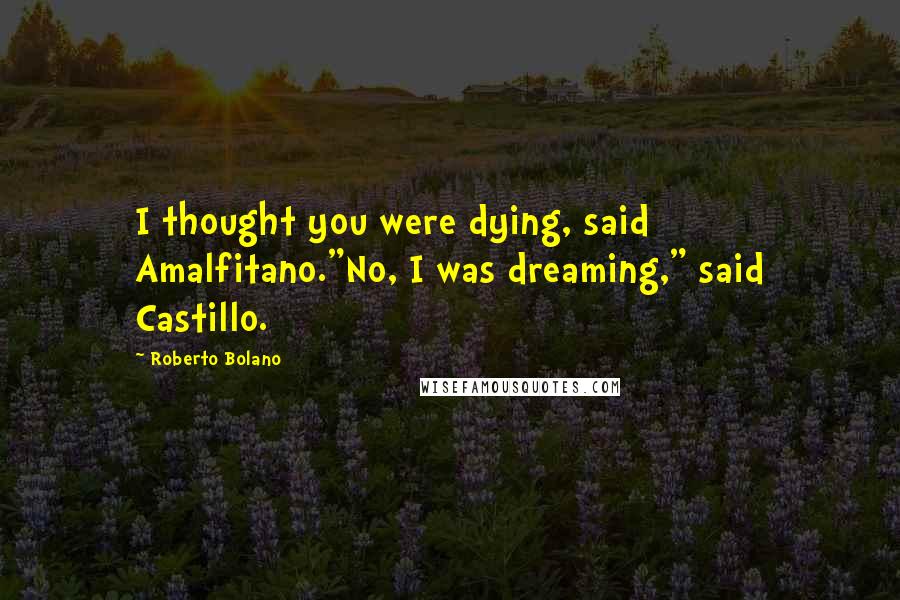 Roberto Bolano Quotes: I thought you were dying, said Amalfitano."No, I was dreaming," said Castillo.