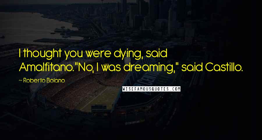 Roberto Bolano Quotes: I thought you were dying, said Amalfitano."No, I was dreaming," said Castillo.