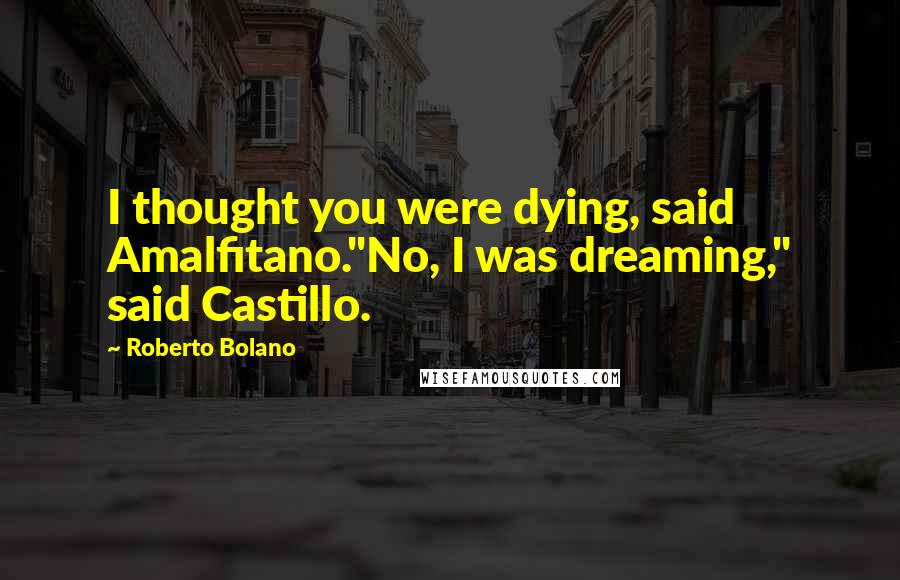 Roberto Bolano Quotes: I thought you were dying, said Amalfitano."No, I was dreaming," said Castillo.
