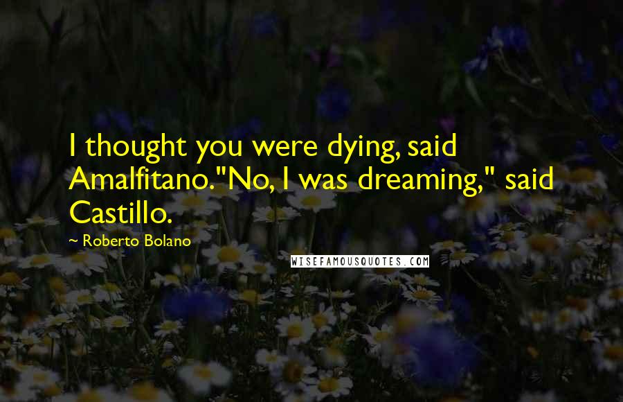Roberto Bolano Quotes: I thought you were dying, said Amalfitano."No, I was dreaming," said Castillo.