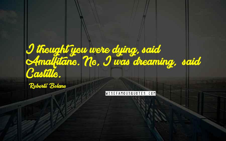 Roberto Bolano Quotes: I thought you were dying, said Amalfitano."No, I was dreaming," said Castillo.