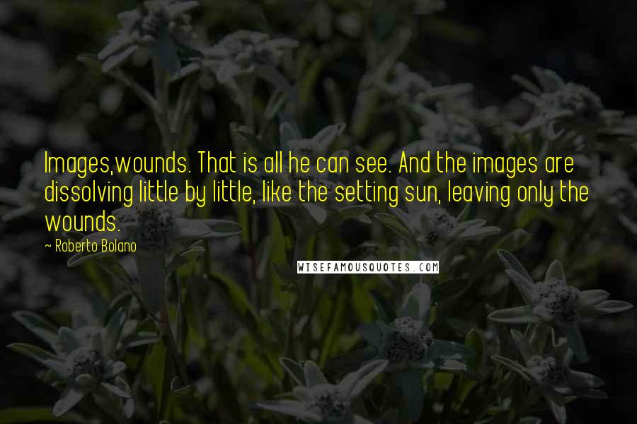 Roberto Bolano Quotes: Images,wounds. That is all he can see. And the images are dissolving little by little, like the setting sun, leaving only the wounds.