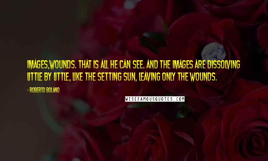 Roberto Bolano Quotes: Images,wounds. That is all he can see. And the images are dissolving little by little, like the setting sun, leaving only the wounds.