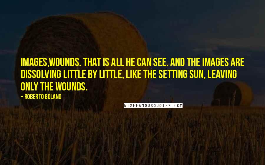Roberto Bolano Quotes: Images,wounds. That is all he can see. And the images are dissolving little by little, like the setting sun, leaving only the wounds.
