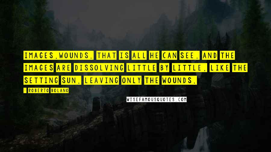 Roberto Bolano Quotes: Images,wounds. That is all he can see. And the images are dissolving little by little, like the setting sun, leaving only the wounds.