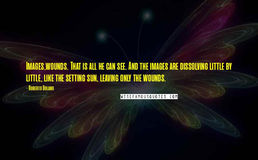 Roberto Bolano Quotes: Images,wounds. That is all he can see. And the images are dissolving little by little, like the setting sun, leaving only the wounds.