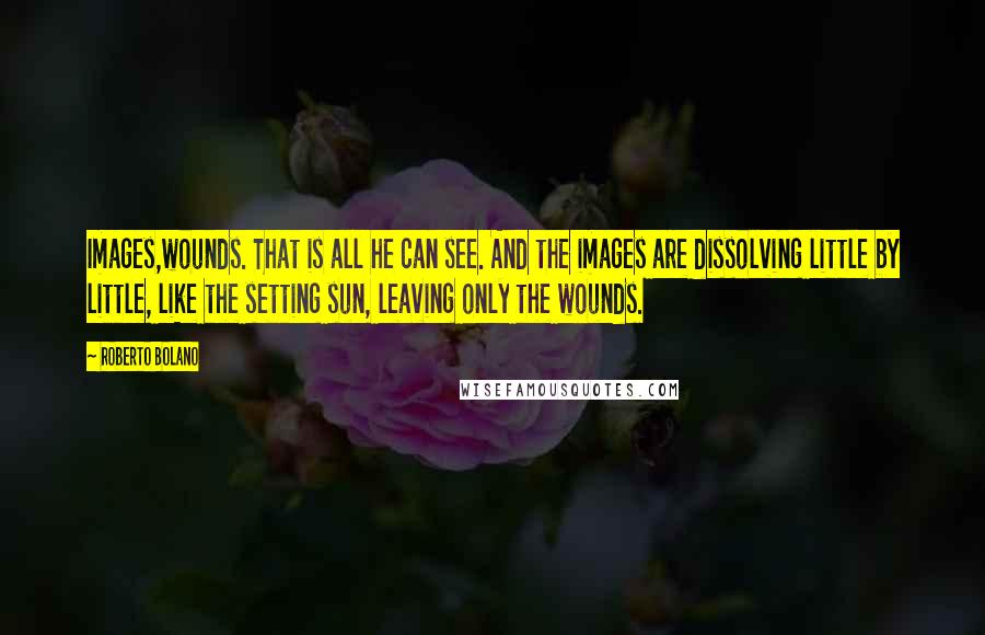 Roberto Bolano Quotes: Images,wounds. That is all he can see. And the images are dissolving little by little, like the setting sun, leaving only the wounds.