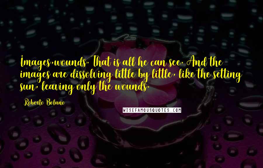 Roberto Bolano Quotes: Images,wounds. That is all he can see. And the images are dissolving little by little, like the setting sun, leaving only the wounds.