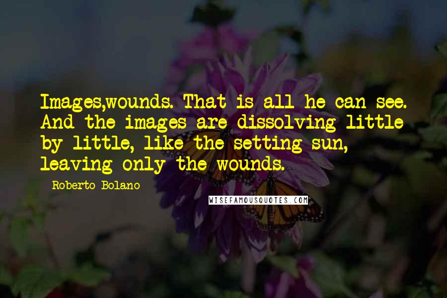 Roberto Bolano Quotes: Images,wounds. That is all he can see. And the images are dissolving little by little, like the setting sun, leaving only the wounds.