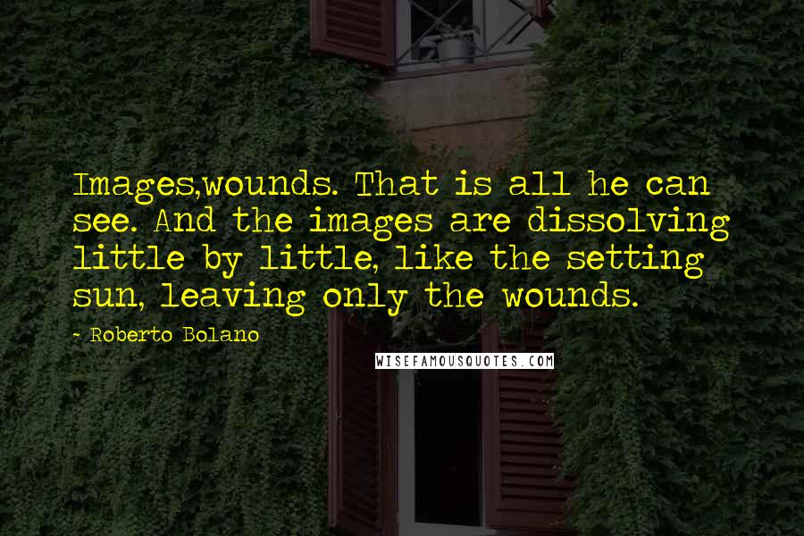 Roberto Bolano Quotes: Images,wounds. That is all he can see. And the images are dissolving little by little, like the setting sun, leaving only the wounds.