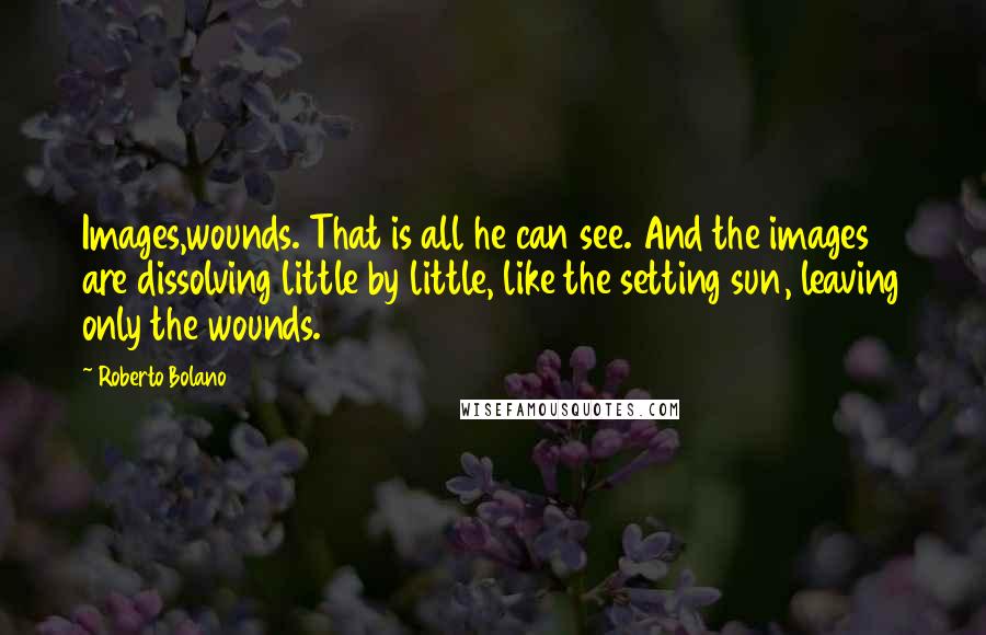 Roberto Bolano Quotes: Images,wounds. That is all he can see. And the images are dissolving little by little, like the setting sun, leaving only the wounds.