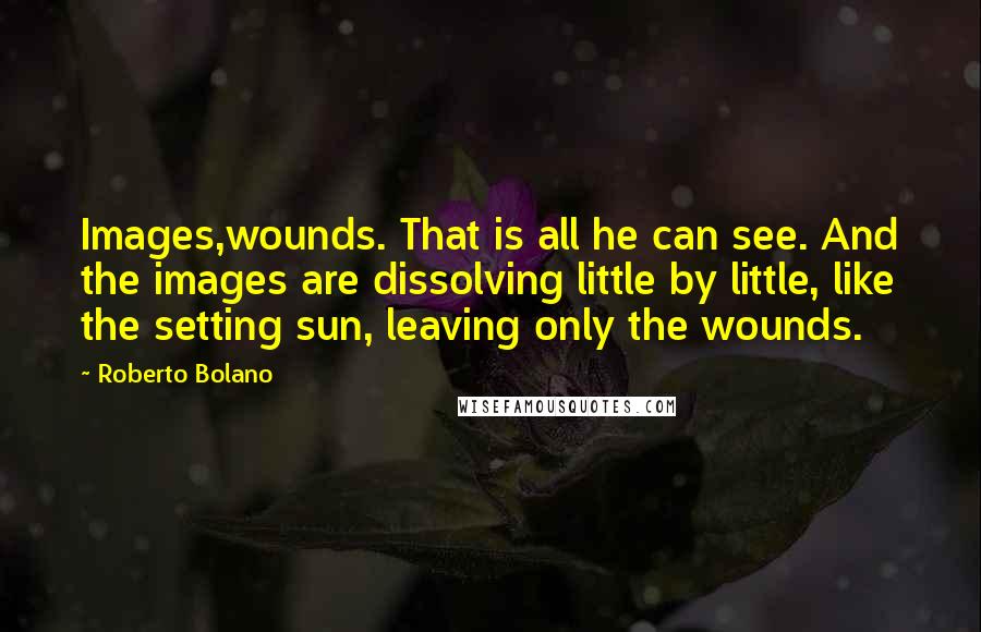 Roberto Bolano Quotes: Images,wounds. That is all he can see. And the images are dissolving little by little, like the setting sun, leaving only the wounds.