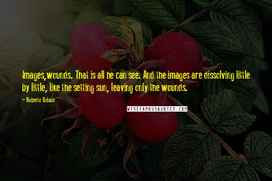 Roberto Bolano Quotes: Images,wounds. That is all he can see. And the images are dissolving little by little, like the setting sun, leaving only the wounds.