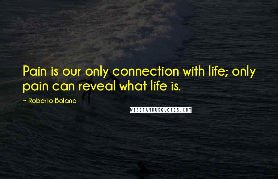 Roberto Bolano Quotes: Pain is our only connection with life; only pain can reveal what life is.